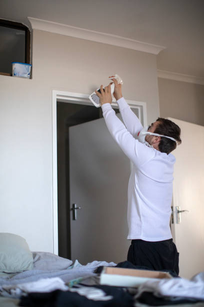 Best Mold Odor Removal Services  in West Hurley, NY
