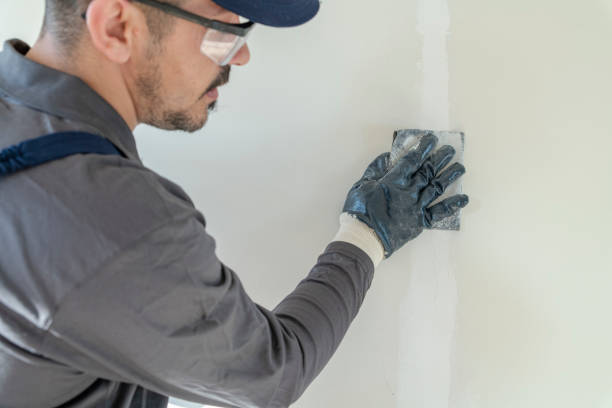 Best Black Mold Removal  in West Hurley, NY