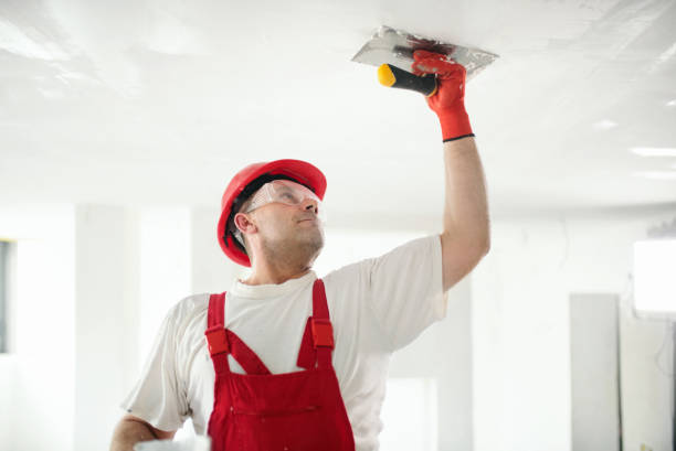 Best Mold Prevention Services  in West Hurley, NY