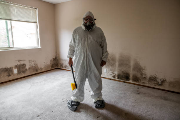 Best Crawl Space Mold Remediation  in West Hurley, NY